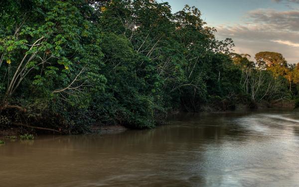 Río Tiputini en el Parque Nacional Yasuní, Ecuador