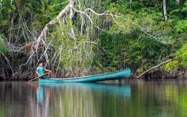 Parque Nacional Yasuní, Amazonía, Ecuador.