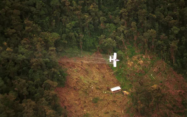 Plan Colombia: Fumigación aérea de cultivos de coca y amapola