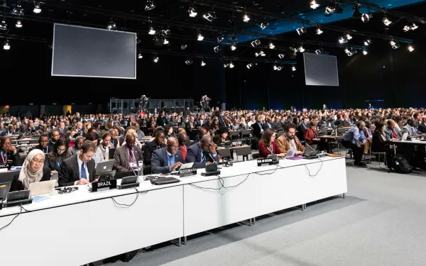 Noticias sobre las negociaciones climáticas en la COP24