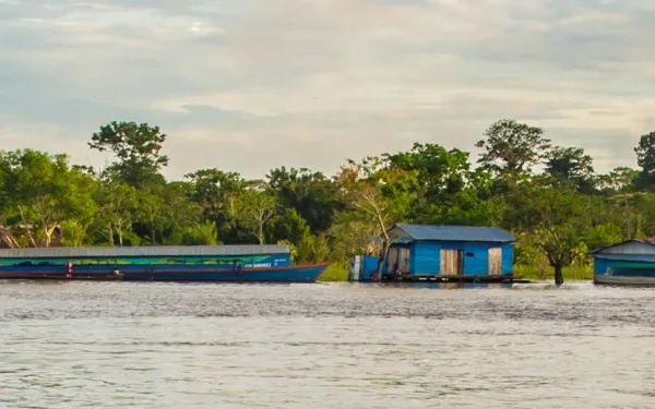 Paisaje de la Amazonía