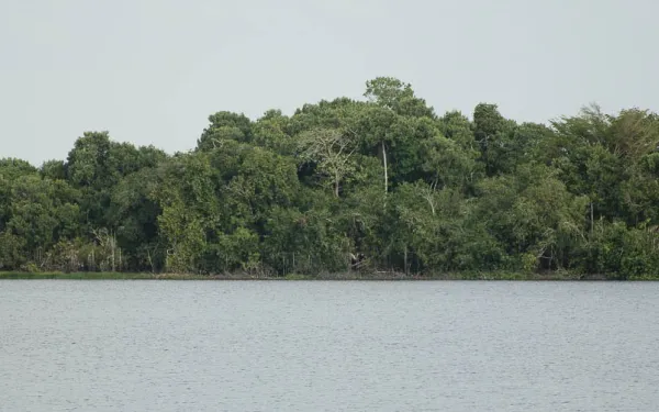 Ciénaga de Paredes, Magdalena Medio, Colmbia