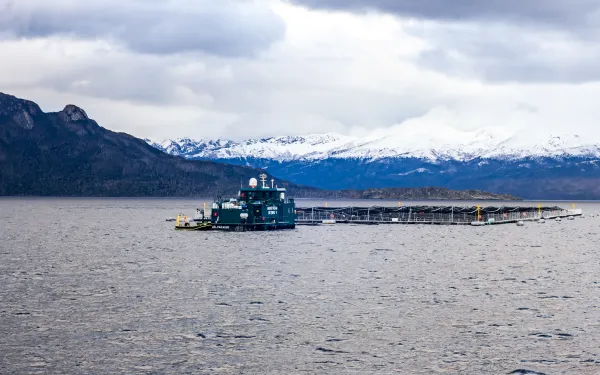 salmon farm in the water in front of a snowcapped mountain in Patagonia