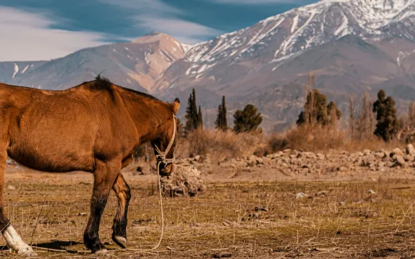 Mendoza, Argentina