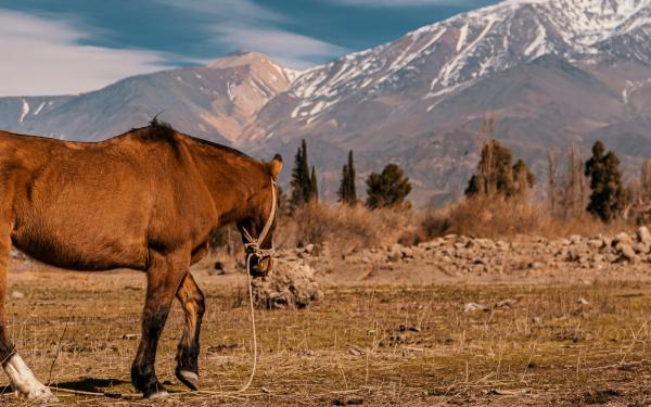 Mendoza, Argentina