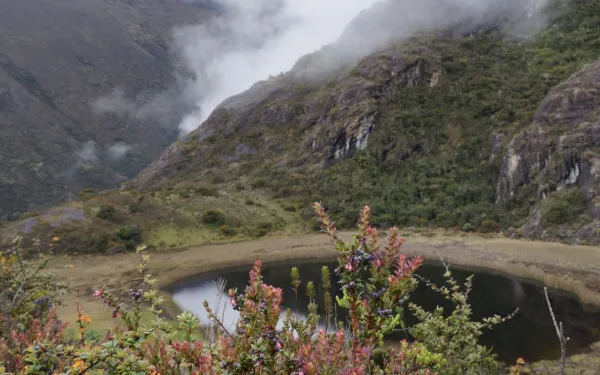 Páramo de Santurbán, Colombia