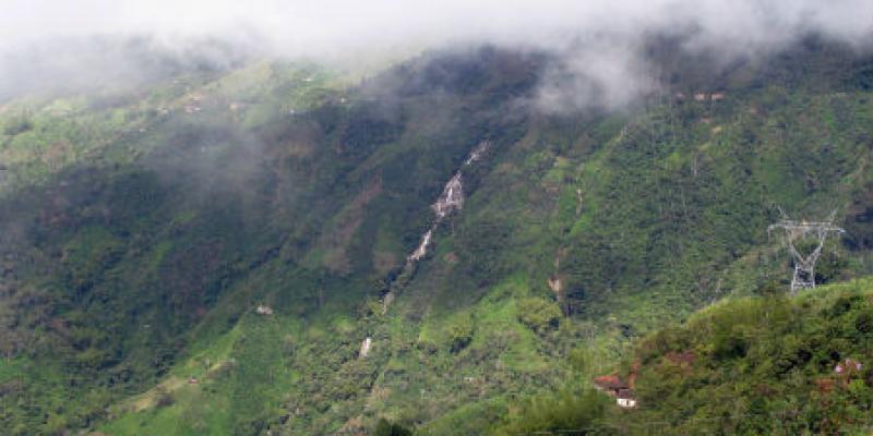 Foto: Los suelos andisoles provienen de cenizas volcánicas y son de gran importancia para la agricultura. Fuente: http://www.agenciadenoticias.unal.edu.co