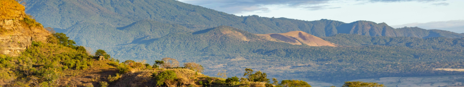 Finca Cristo Negro, Los Cedros, El Salvador. Foto: Roberto Peña en Unsplash.