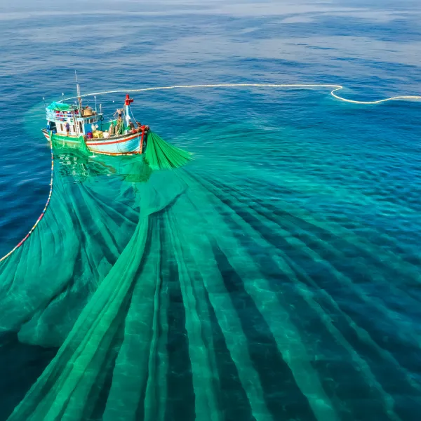 barco pescadero con un red verde extendido en el agua