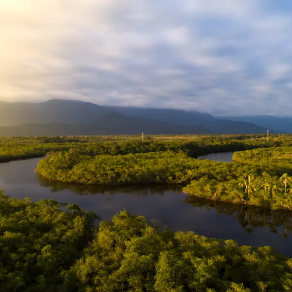 Vista panorámica de un río en medio de la selva amazónica