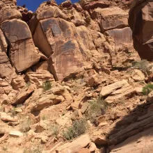 Headshot of Dena DeBry